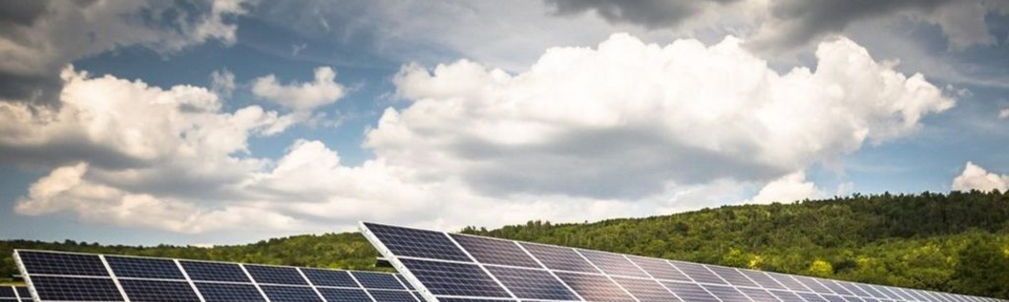 Stockton solar farm opponents claim plans are excessive